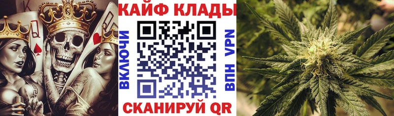 Какие есть наркотики Менделеевск Alpha-PVP БУТИРАТ Кокаин