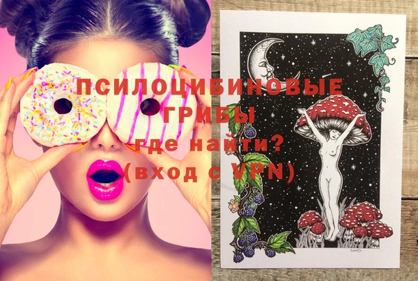 spice Абаза