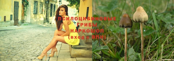 крисы Алзамай