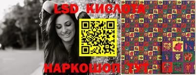 PSILOCYBIN Заволжье