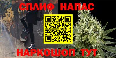 PSILOCYBIN Заволжье