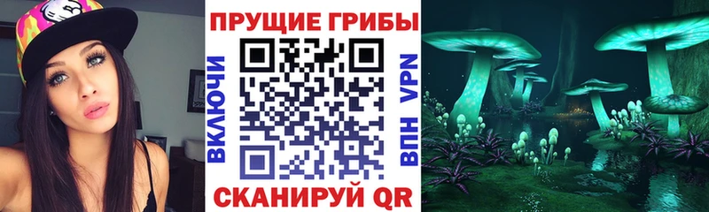 Галлюциногенные грибы GOLDEN TEACHER  Менделеевск 