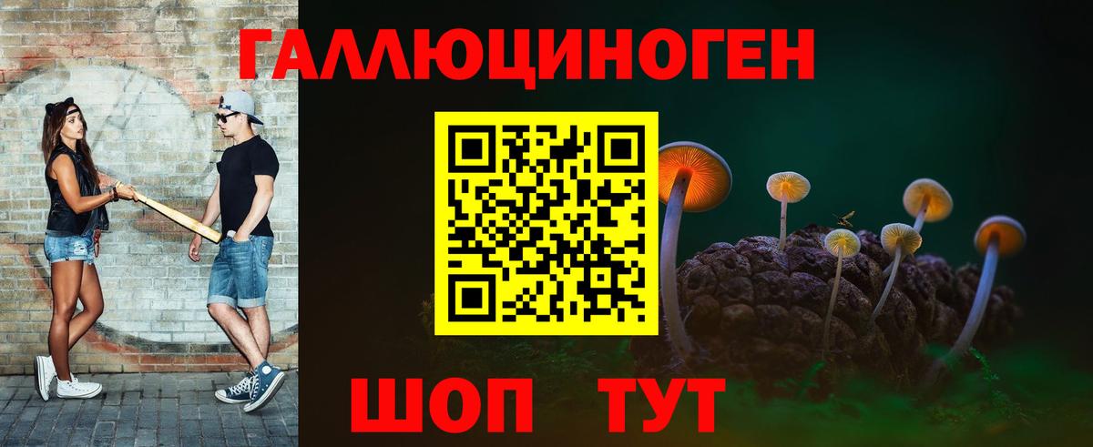 где купить наркотик  Вход с VPN  Менделеевск  Галлюциногенные грибы Psilocybe 